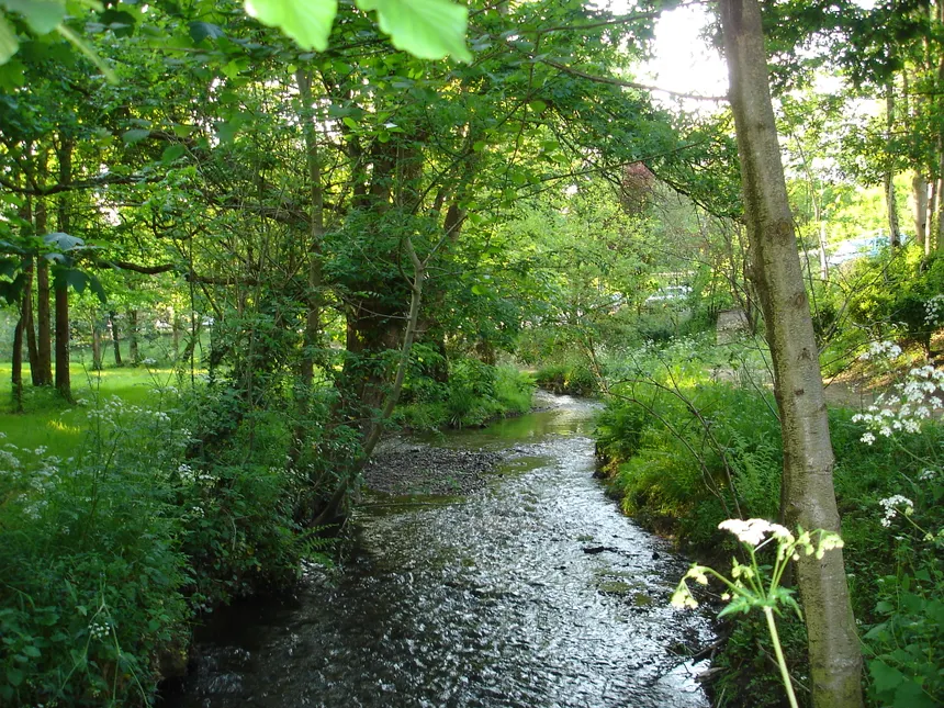 La rivière la Chézine